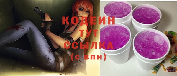 прущие грибы Вязники