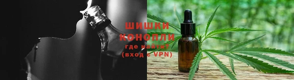 прущие грибы Вязники