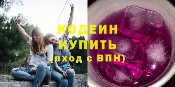 прущие грибы Вязники