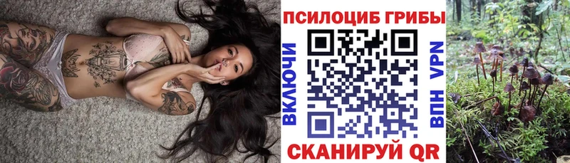 Купить  Учалы  Галлюциногенные грибы Psilocybine cubensis 