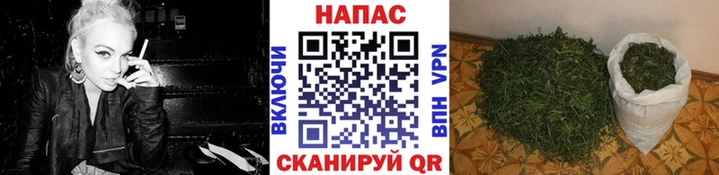 Канабис OG Kush  Купить где  Учалы 